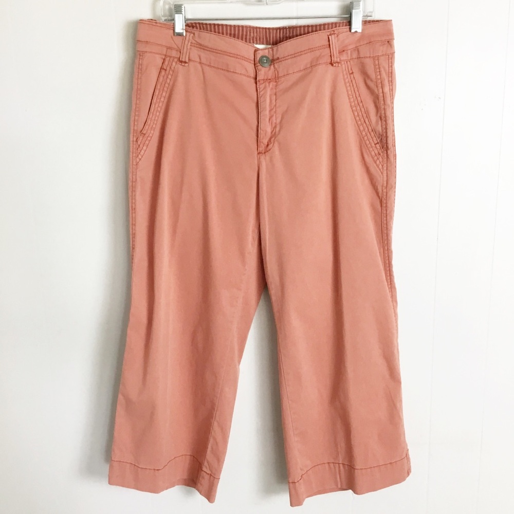 Anthropologie Hei Hei Size 30 Cropped Capri Pants! Loved but the didn’t fit me.